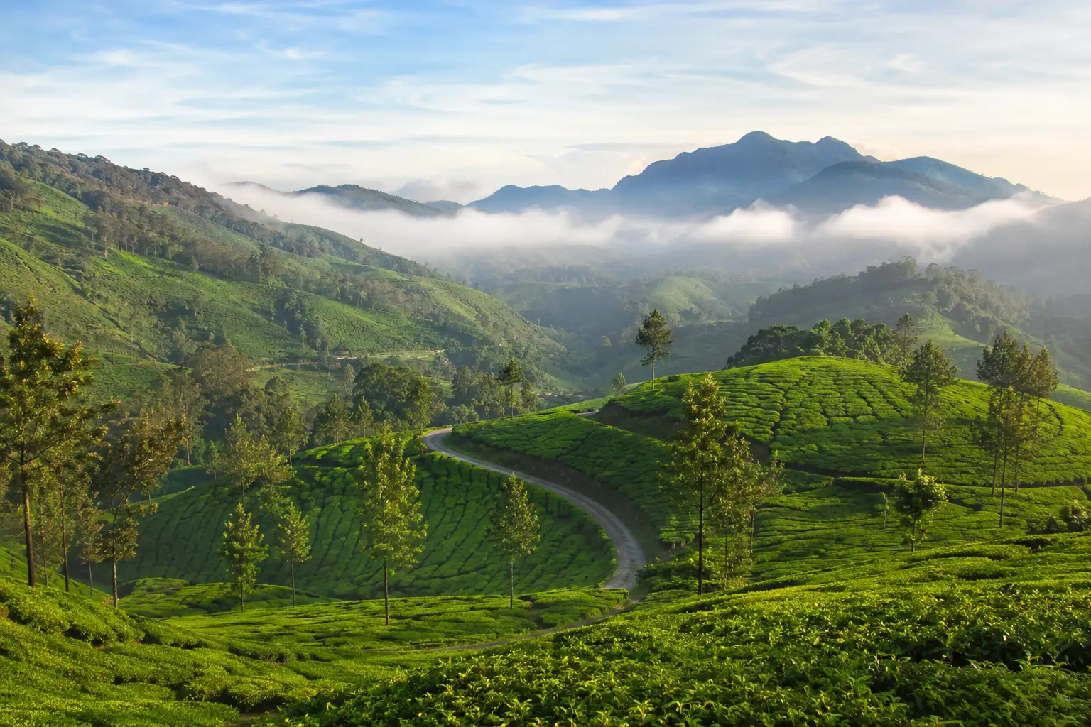 Kerala tour packages with UVs Jollydays